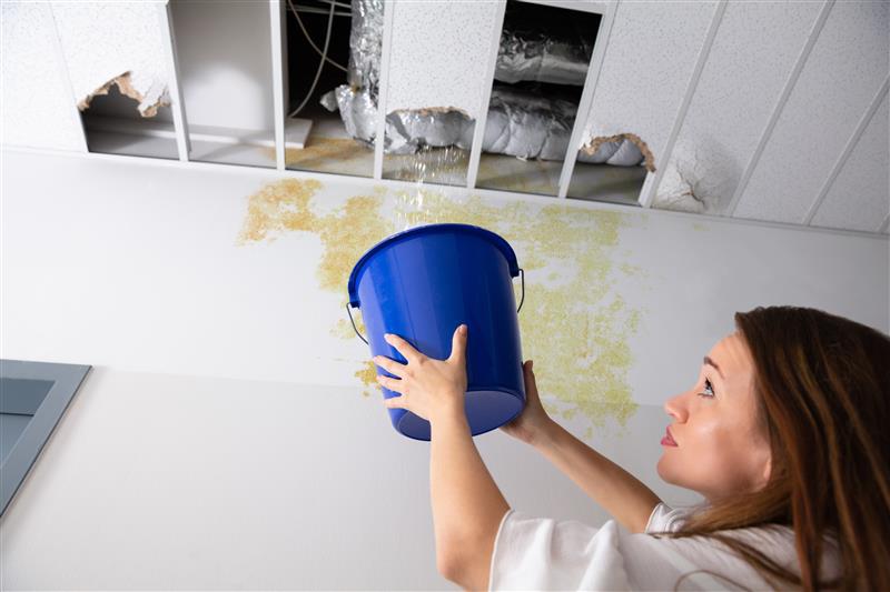 Water Damage Restoration Services | Cleanup & Repairs
