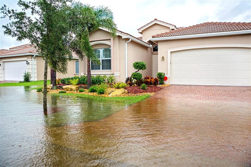 Professional Water Damage Cleanup