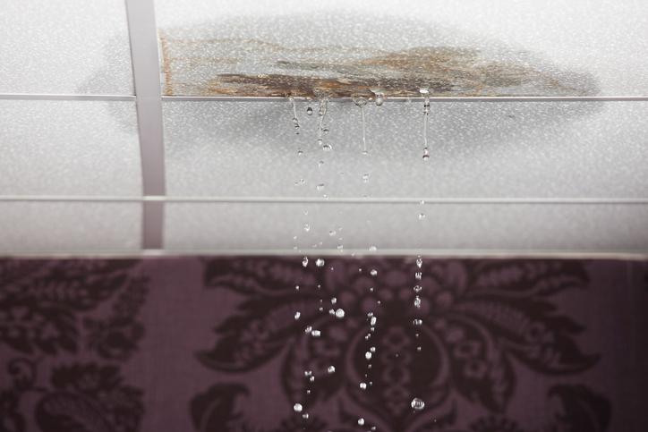 The Crucial Importance of Water Damage Restoration