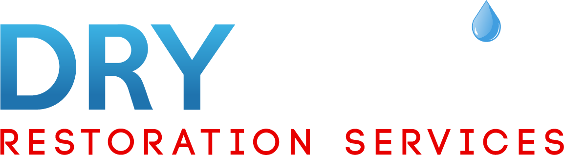 DRYMedic footer logo