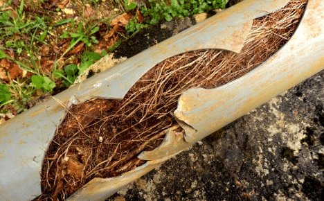 Signs of A Sewer Blockage image