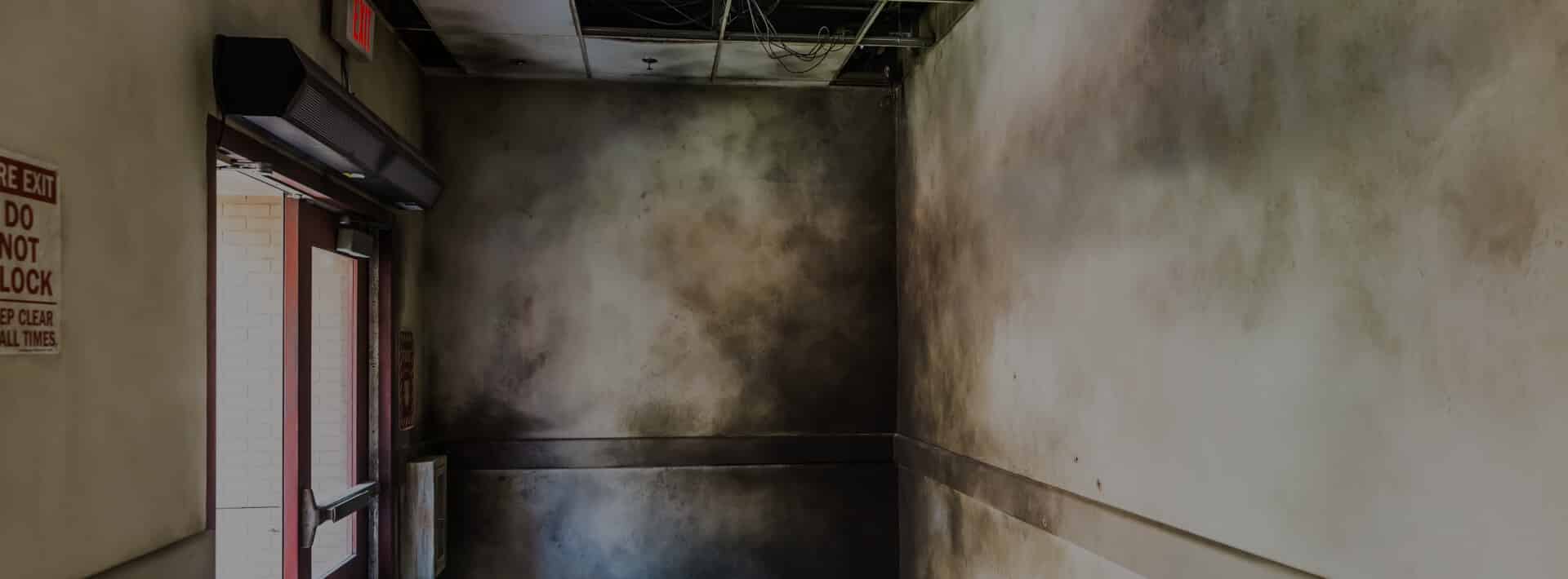 DRYmedic Restoration Services of Franklin photo 3