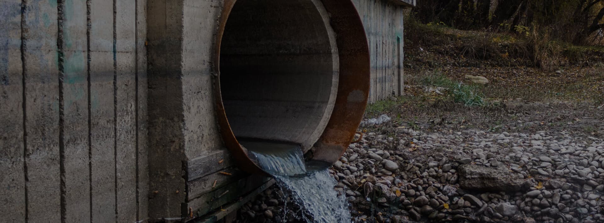 Sewer Water Backup Cleanup