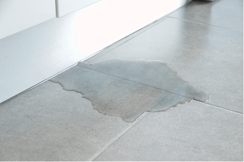 Recognizing the Signs of Water Damage in Your Home image