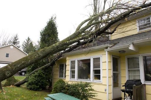 When is Hurricane Season? image