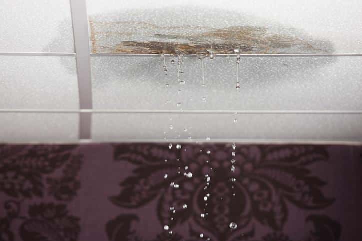The Crucial Importance of Water Damage Restoration image