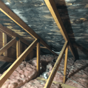 a roof with wood beams and pink foam