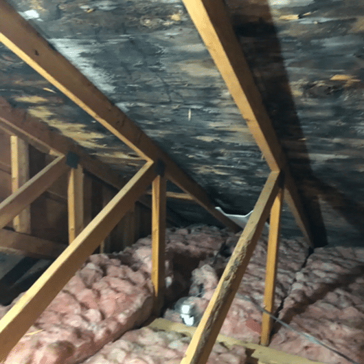 Why Florida Homes Are More Vulnerable To Water Damage Than You Think image