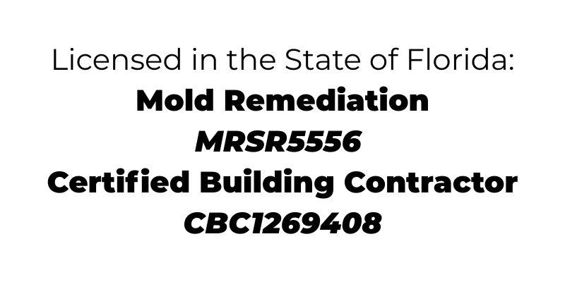 392f9f6a d3a0 4914 88d5 9844a08f2a12