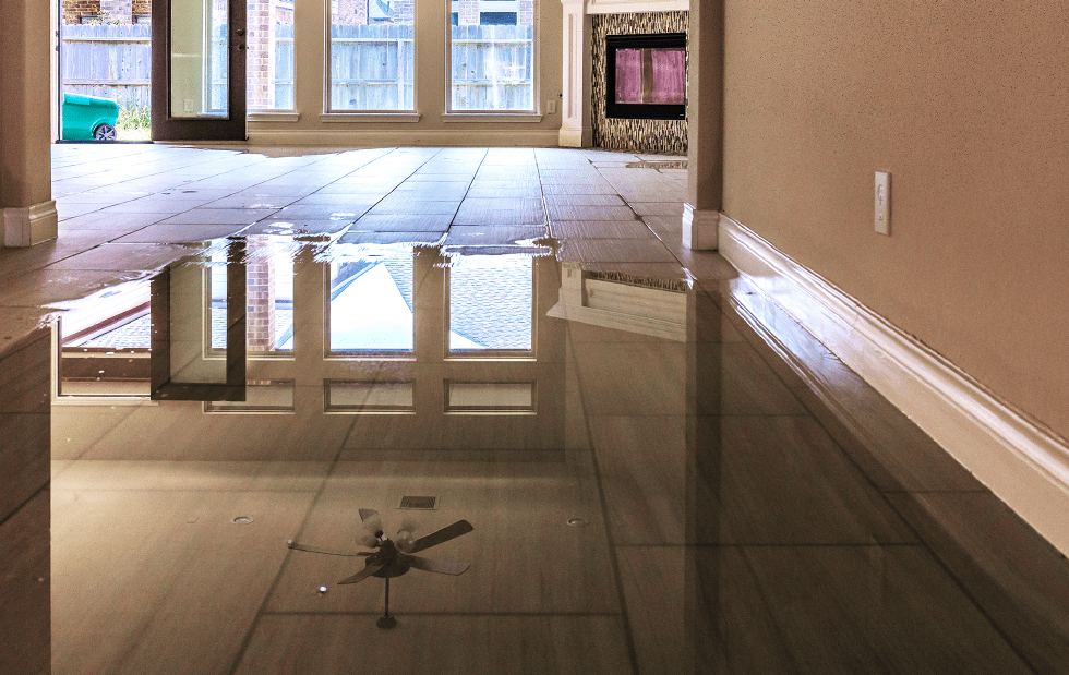 Water Damage Restoration in Austin: Common Causes of Water Damage