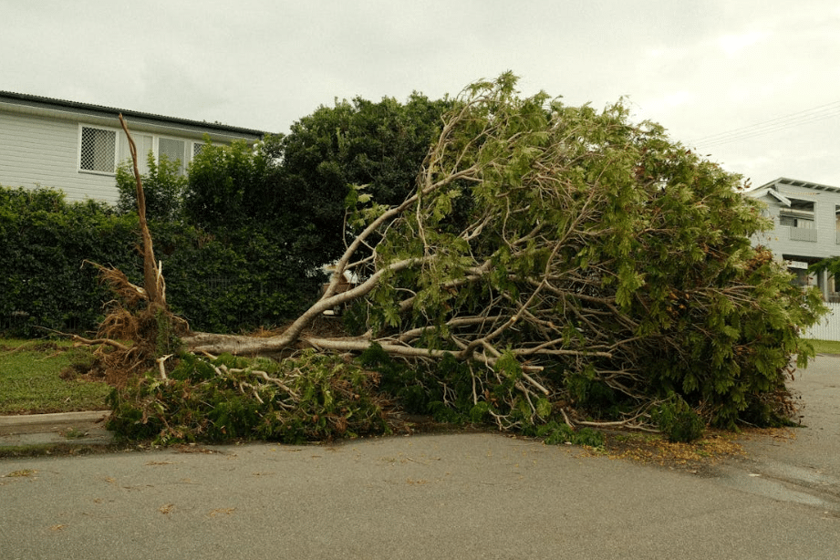 Storm Damage Restoration in Pleasantville: A Homeowner's Guide to Water Damage After a Storm
