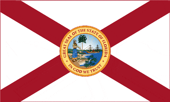 state flag florida florida state certified mold remediation
